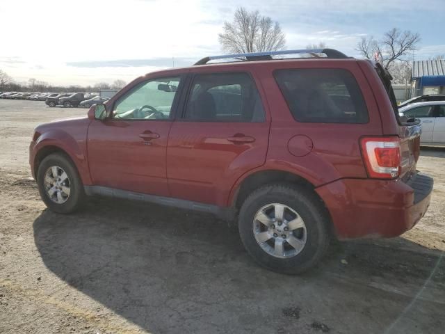 2011 Ford Escape Limited