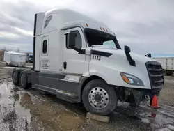 Salvage cars for sale from Copart Billings, MT: 2020 Freightliner Cascadia 126