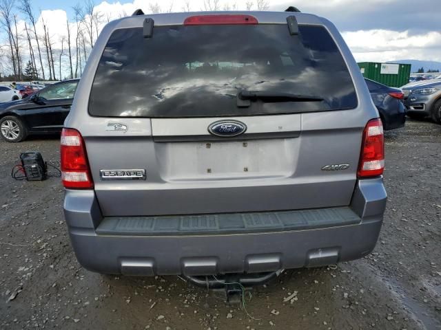 2008 Ford Escape XLT