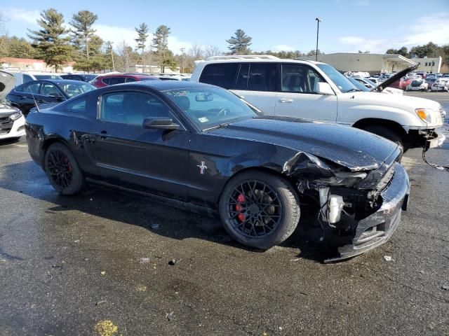 2013 Ford Mustang