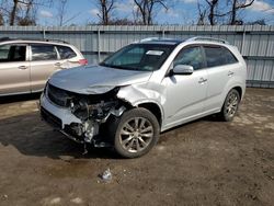 KIA Sorento sx salvage cars for sale: 2011 KIA Sorento SX