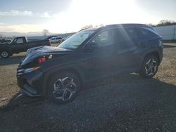 Salvage cars for sale at Anderson, CA auction: 2023 Hyundai Tucson SEL Convenience