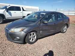 Salvage cars for sale at Phoenix, AZ auction: 2013 Ford Focus SE