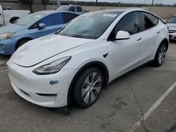 Vehiculos salvage en venta de Copart Rancho Cucamonga, CA: 2021 Tesla Model Y