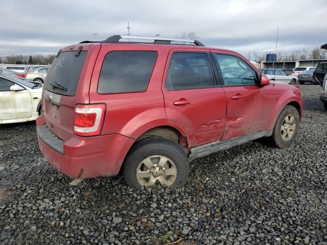 2010 Ford Escape Limited