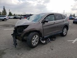 Salvage cars for sale from Copart Rancho Cucamonga, CA: 2013 Honda CR-V EX