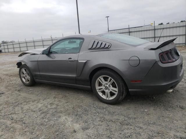 2013 Ford Mustang