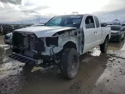 Salvage cars for sale at Magna, UT auction: 2023 Toyota Tacoma Access Cab