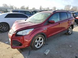 Salvage cars for sale at Bridgeton, MO auction: 2014 Ford Escape SE