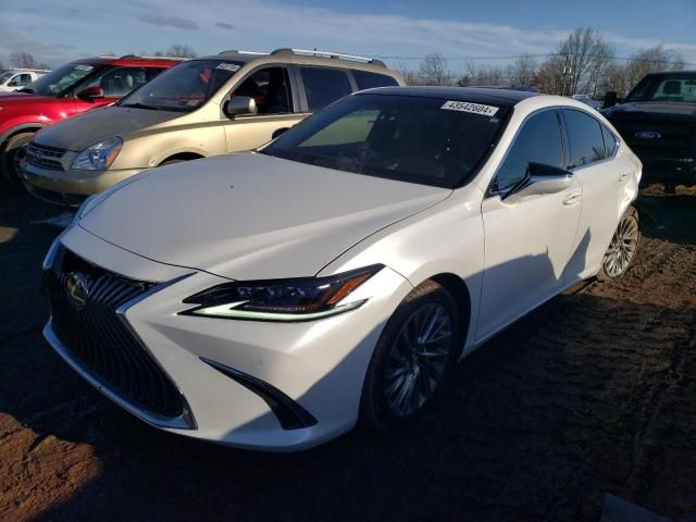 2019 Lexus ES 350