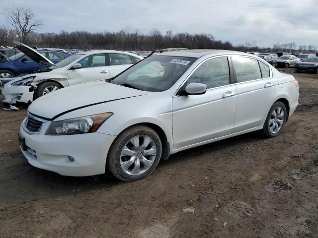 2008 Honda Accord EXL