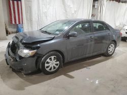 Salvage cars for sale from Copart Leroy, NY: 2009 Toyota Corolla Base