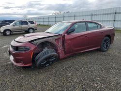 Dodge Charger salvage cars for sale: 2021 Dodge Charger GT