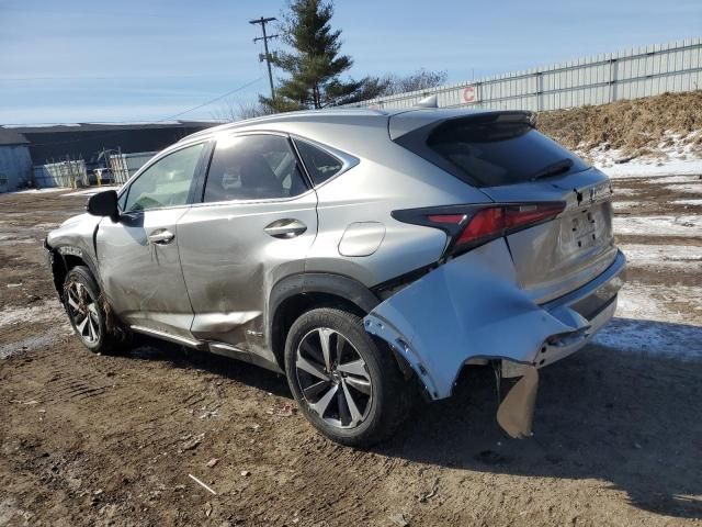 2020 Lexus NX 300H