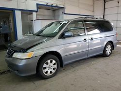 Salvage cars for sale from Copart Pasco, WA: 2002 Honda Odyssey EXL