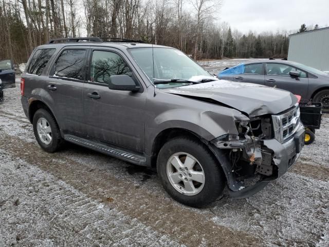 2009 Ford Escape XLT