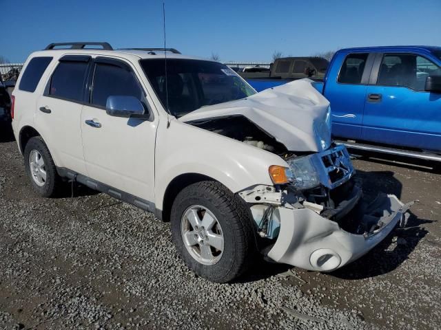 2012 Ford Escape XLT