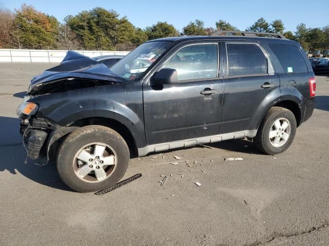 2009 Ford Escape XLT