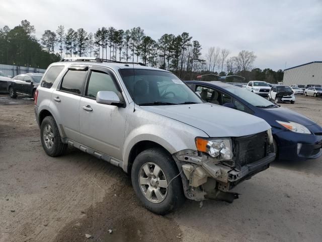 2011 Ford Escape Limited