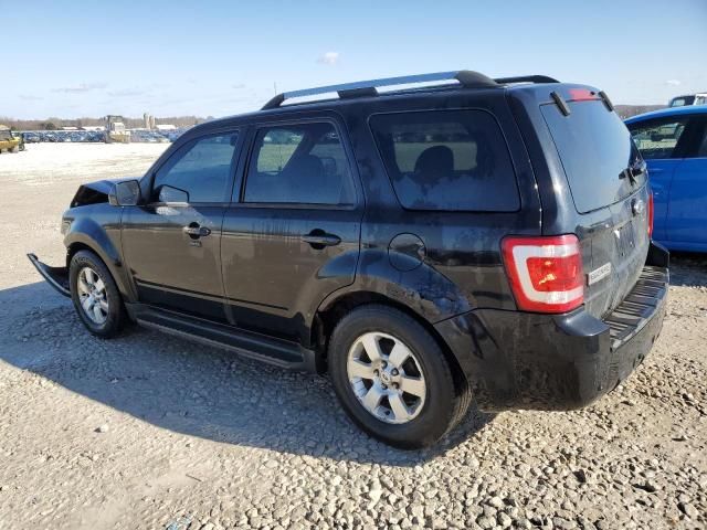 2009 Ford Escape Limited