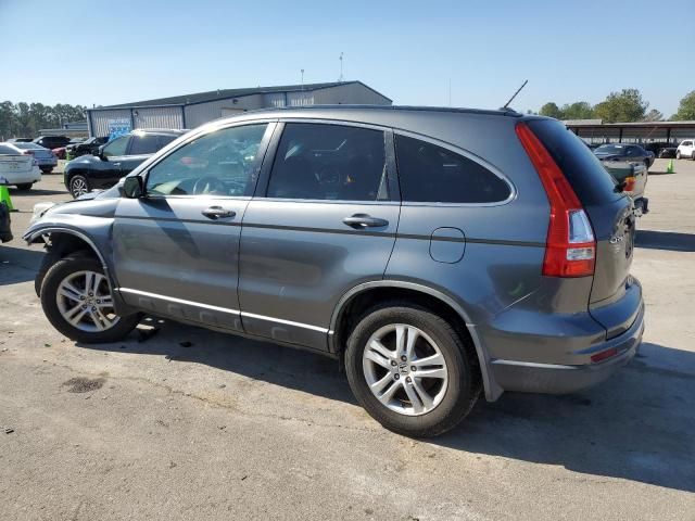 2010 Honda CR-V EXL