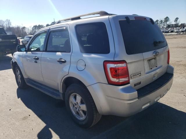 2011 Ford Escape XLT