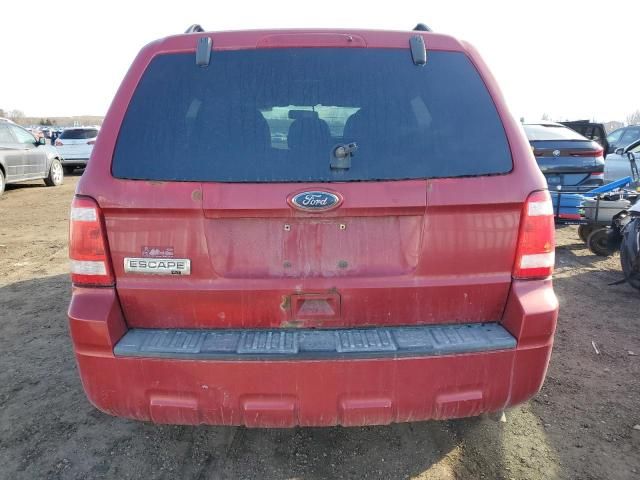 2010 Ford Escape XLT