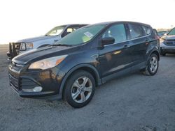 Carros salvage para piezas a la venta en subasta: 2013 Ford Escape SE