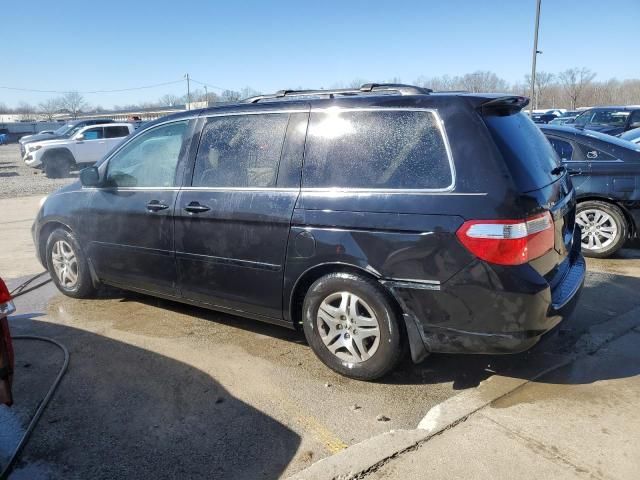 2005 Honda Odyssey EXL