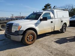 Salvage trucks for sale at Lexington, KY auction: 2010 Ford F150