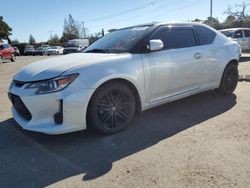 Salvage cars for sale from Copart San Martin, CA: 2016 Scion TC