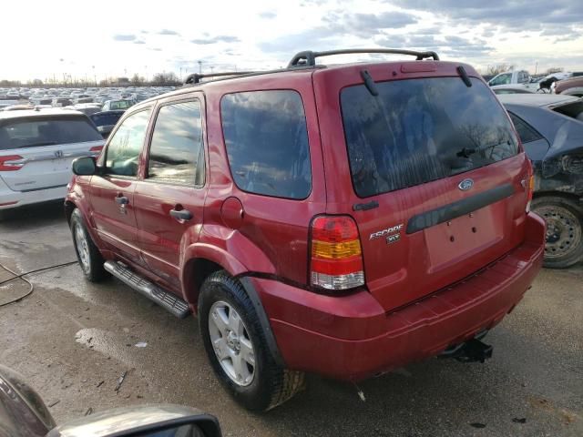 2007 Ford Escape XLT