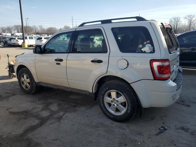 2011 Ford Escape XLT