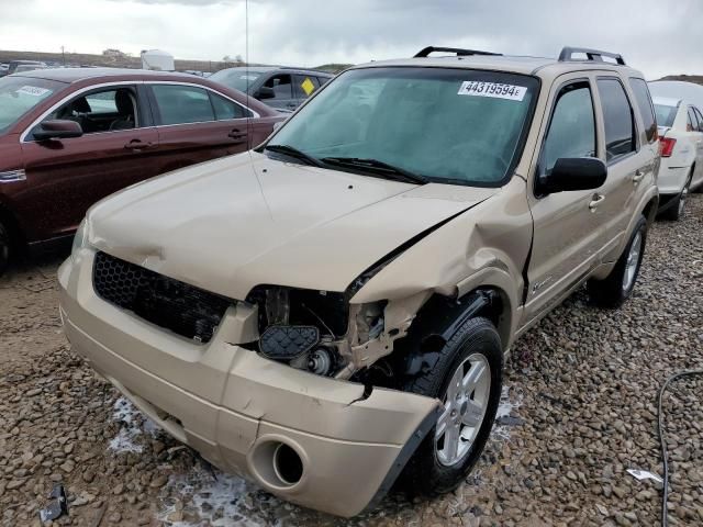 2007 Ford Escape HEV