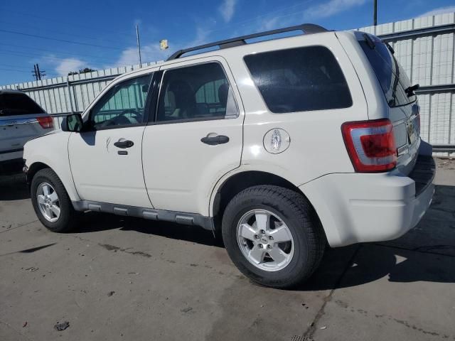 2011 Ford Escape XLT