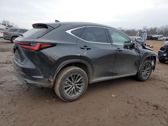 2023 Lexus NX 250