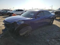 Salvage cars for sale at Indianapolis, IN auction: 2019 Dodge Charger SXT