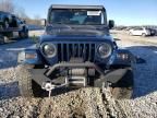 2002 Jeep Wrangler / TJ Sport