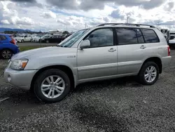 Toyota salvage cars for sale: 2007 Toyota Highlander Hybrid