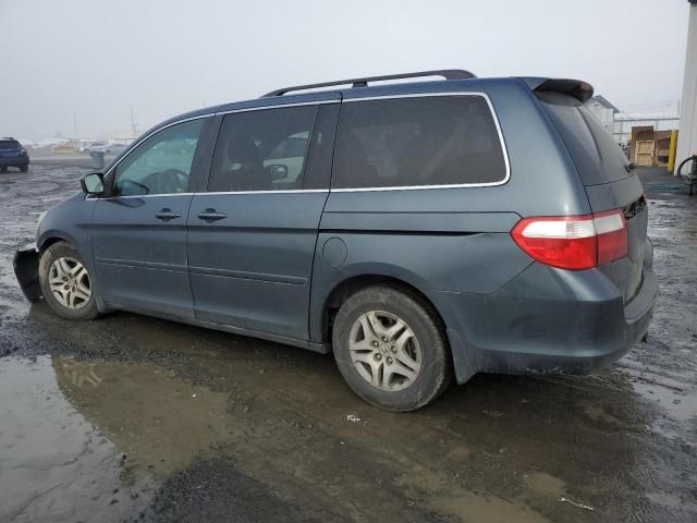 2005 Honda Odyssey EX