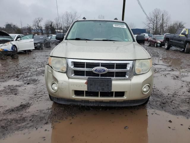 2010 Ford Escape XLT