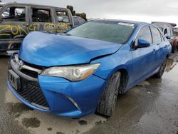 Toyota Camry LE Vehiculos salvage en venta: 2016 Toyota Camry LE