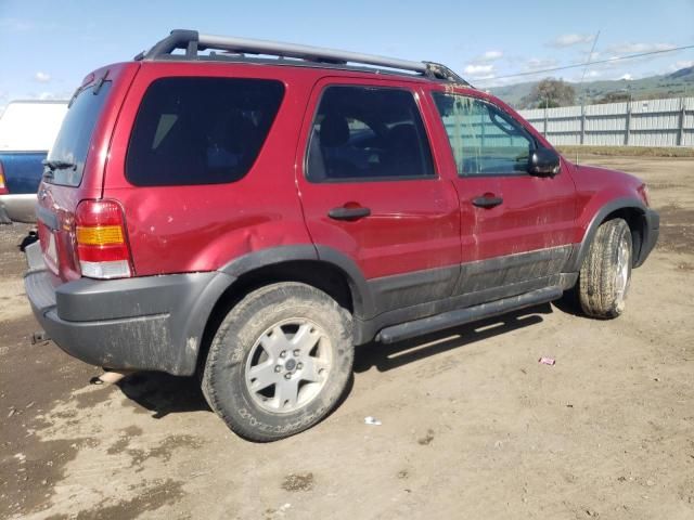 2003 Ford Escape XLT