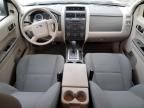 2010 Ford Escape XLS