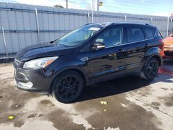 Salvage cars for sale from Copart Littleton, CO: 2014 Ford Escape Titanium