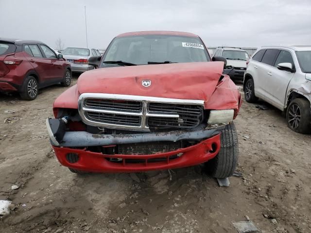 2004 Dodge Dakota SXT