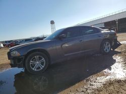 Salvage cars for sale at Phoenix, AZ auction: 2014 Dodge Charger SE