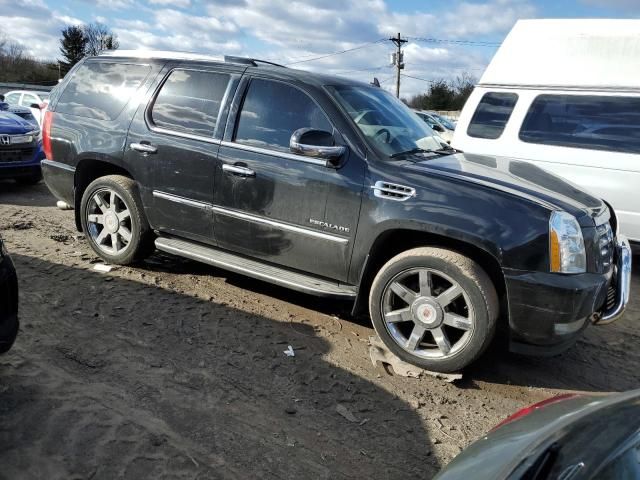 2011 Cadillac Escalade Luxury