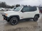 2017 Jeep Renegade Trailhawk