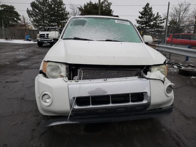 2011 Ford Escape Limited